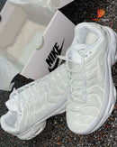 Nike TN Air Max PLUS